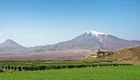 Die Aufnahme zeigt die majestätischen Vulkane Ararat und seine kleinere Schwester in einer weitläufigen Landschaft. Im Vordergrund erstreckt sich ein grünes Feld, während die schneebedeckten Gipfel der Berge im Hintergrund deutlich sichtbar sind.