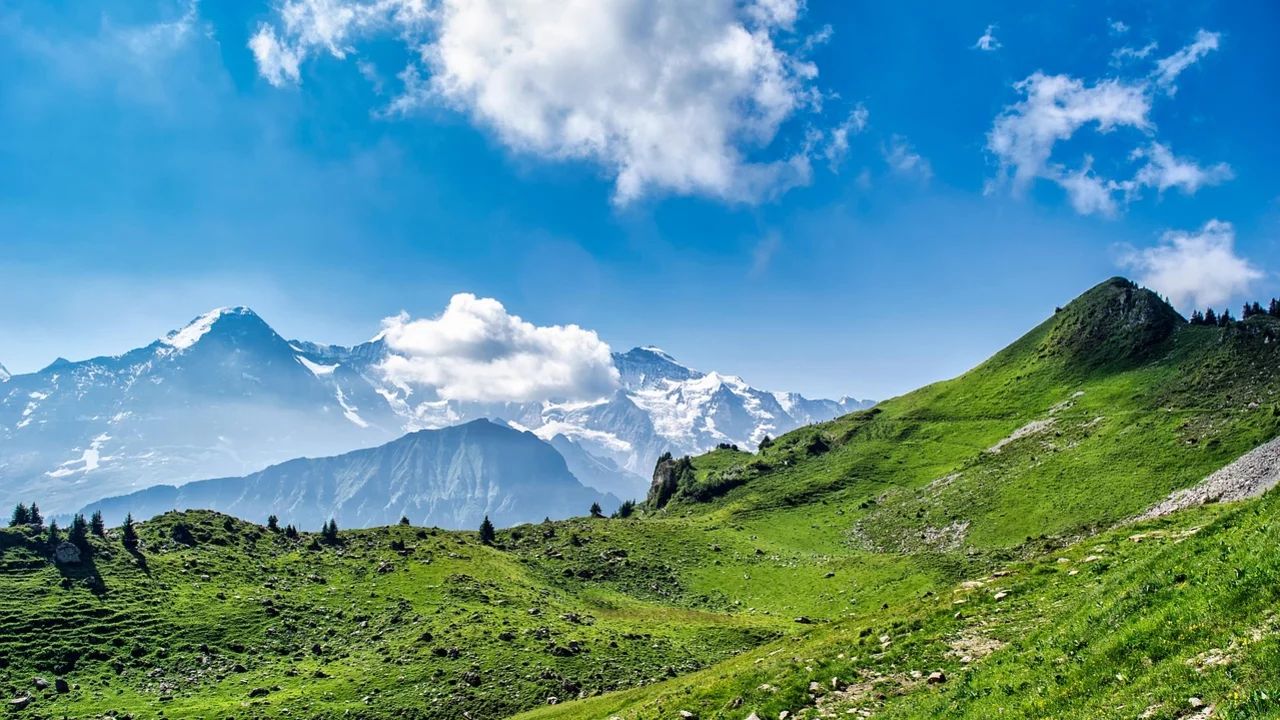 Grüne Wiese mit Berg im Hintergrund