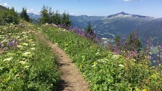 Auf Wander- und Pilgerwegen