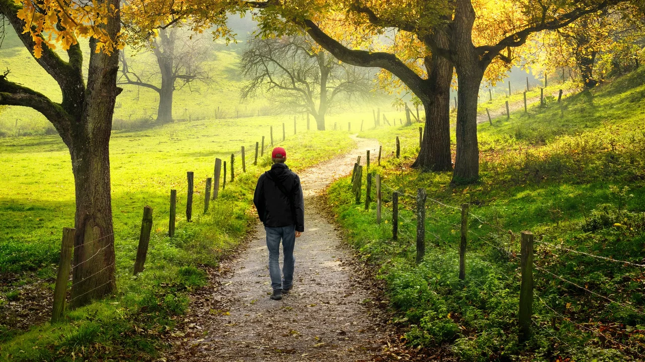Eine Person mit roter Mütze geht allein auf einem schmalen Weg durch eine grüne Landschaft, umgeben von Bäumen mit herbstlichen Blättern. Die Atmosphäre ist ruhig und die Sonne scheint sanft durch den Morgennebel.