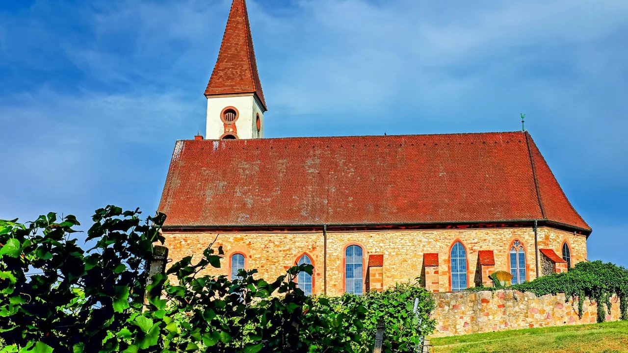 Eine Kirche mit einem spitzen roten Dach und einem Glockenturm steht vor einem blauen Himmel. Das Gebäude ist aus Stein und hat mehrere Fenster. Im Vordergrund wachsen grüne Weinreben.