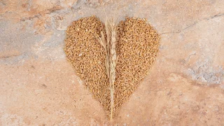 Ein Ohr ist ein halbes Herz