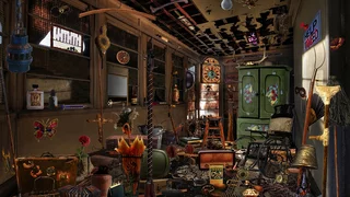 Immer wieder Neues entdecken