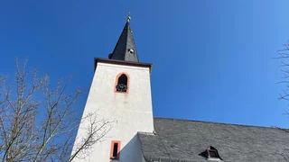 Trotz aller Not: Das Leben siegt!