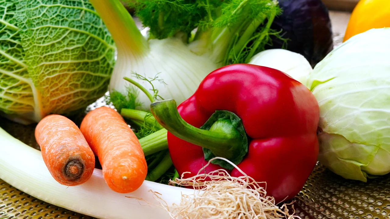 Eine Auswahl frischer Gemüse ist abgebildet, darunter rote Paprika, Karotten, verschiedene Kohlsorten, Fenchel und Sellerie. Die Farben und Formen der Gemüse bilden ein lebendiges, gesundes Arrangement.