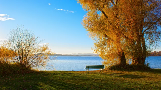 Parkbank auf einer Wiese, im Hintergrund ein See