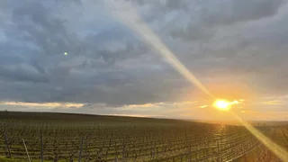 Gottesdienste in der Karwoche und zu Ostern im Radio und Fernsehen