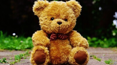 Ein Teddybär der Hoffnung