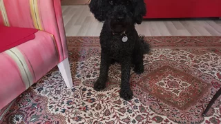 Annie ist gewachsen