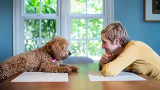 Das Projekt Annie