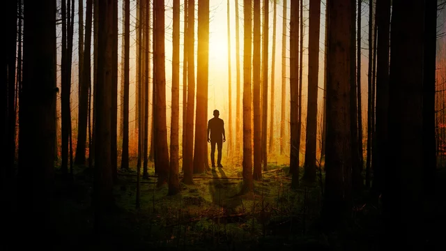 Mensch im dunklen Wald geht zur Lichtung hin