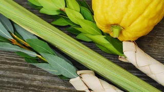 Segenswünsche und Solidarität zum jüdischen Laubhüttenfest