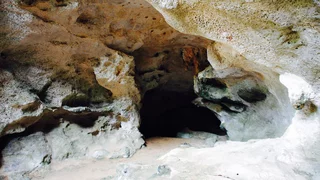 Weltweites Mitgefühl