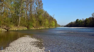 Tragflächenboote auf dem Rhein