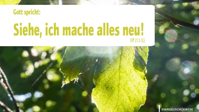 Jahreslosung 2026: "Gott spricht: Siehe, ich mache alles neu!" Offenbarung 21,5. 