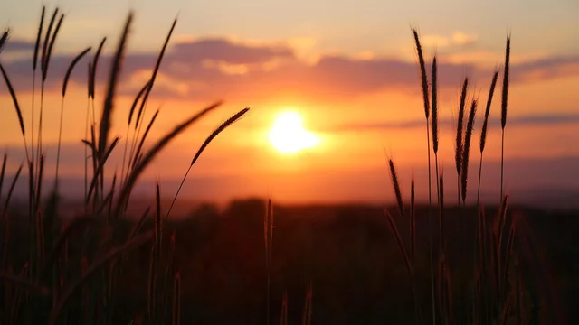 Dämmerung - untergehende Sonne