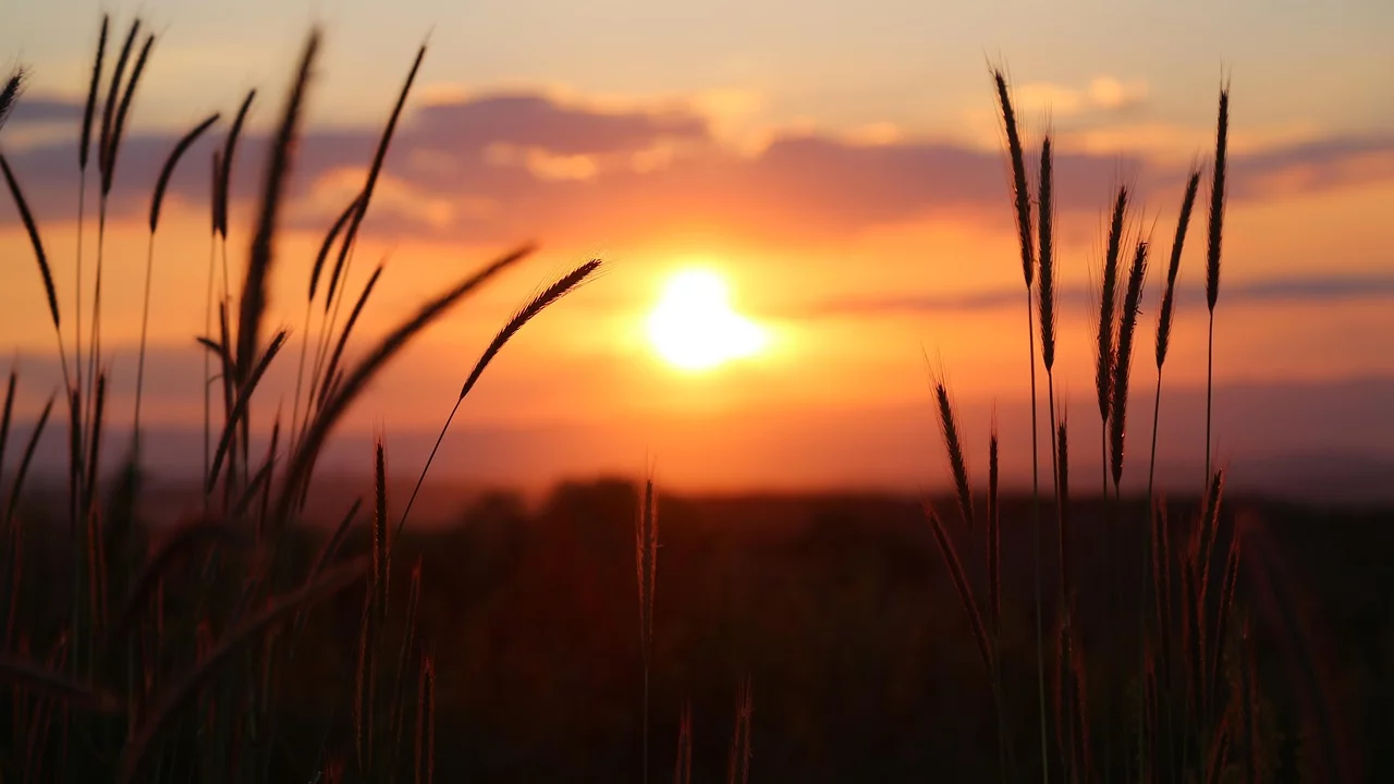 Dämmerung - untergehende Sonne