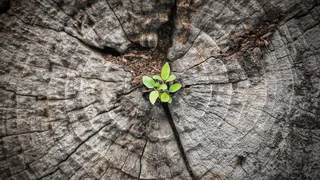 Fit für den Neuanfang: Buß- und Bettag