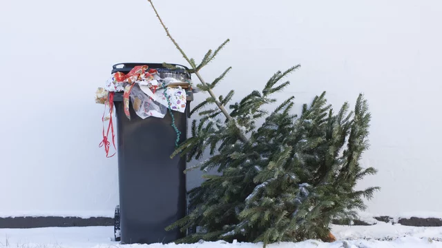 Ein schwarzer Müllcontainer steht an einer weißen Wand. Neben ihm liegt ein abgelegter Weihnachtsbaum, umgeben von Schnee. Der Container ist mit Geschenkpapier und Resten dekoriert.