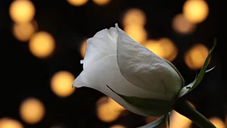 Gedenken Novemberpogrome