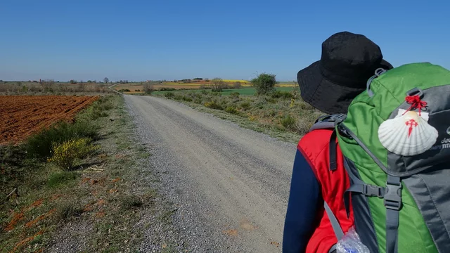 Eine pilgernde Person auf dem Jakobsweg