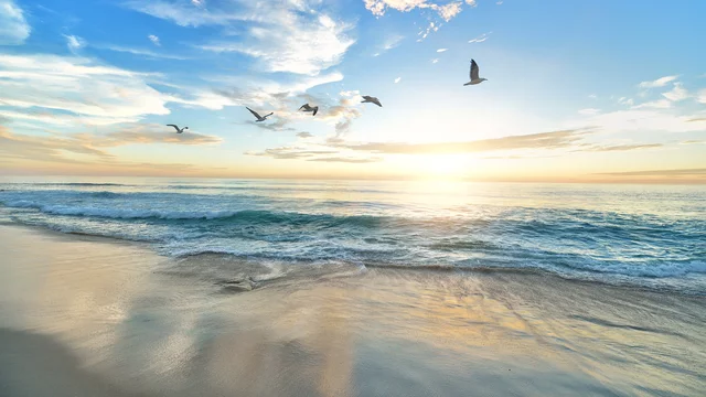 Ein beruhigender Strand mit sanften Wellen unter einem klaren, blauen Himmel. Im Vordergrund spiegeln sich die Wellen im feinen Sand. Einige Vögel fliegen in Richtung Horizont, während die Sonne am Morgen aufgeht und den Himmel in warmen Farben erleuchtet.