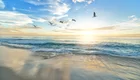 Ein beruhigender Strand mit sanften Wellen unter einem klaren, blauen Himmel. Im Vordergrund spiegeln sich die Wellen im feinen Sand. Einige Vögel fliegen in Richtung Horizont, während die Sonne am Morgen aufgeht und den Himmel in warmen Farben erleuchtet.