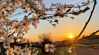 Auferstehung - Warum ich das glauben will