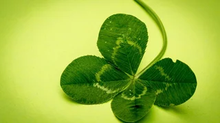 St. Patricks Day