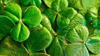 St. Patrick's Day