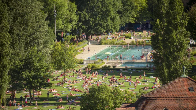 Eine belebte Parklandschaft an einem sonnigen Tag, in der viele Menschen auf Decken liegen, um sich zu entspannen. Ein Schwimmbecken ist im Hintergrund sichtbar, umgeben von Bäumen und Grünflächen. Die Atmosphäre wirkt lebhaft und einladend.