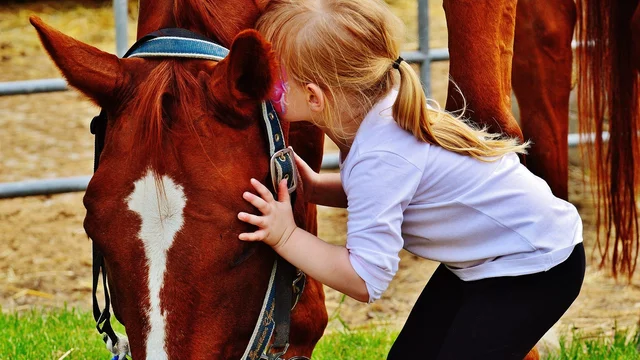 Ein kleines Mädchen kniet neben einem braunen Pferd und küsst sanft seine Schnauze. Das Mädchen trägt ein weißes Oberteil und schwarze Leggings, während das Pferd ruhig steht. Die Szene vermittelt eine liebevolle Verbindung zwischen dem Kind und dem Tier.