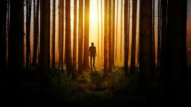Eine silhouettierte Person steht zwischen hohen Bäumen in einem Wald, während die Sonne im Hintergrund aufgeht und ein warmes Licht verbreitet. Die Umgebung ist mystisch und geheimnisvoll, mit sanften Schatten auf dem Boden.