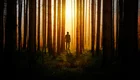 Eine silhouettierte Person steht zwischen hohen Bäumen in einem Wald, während die Sonne im Hintergrund aufgeht und ein warmes Licht verbreitet. Die Umgebung ist mystisch und geheimnisvoll, mit sanften Schatten auf dem Boden.