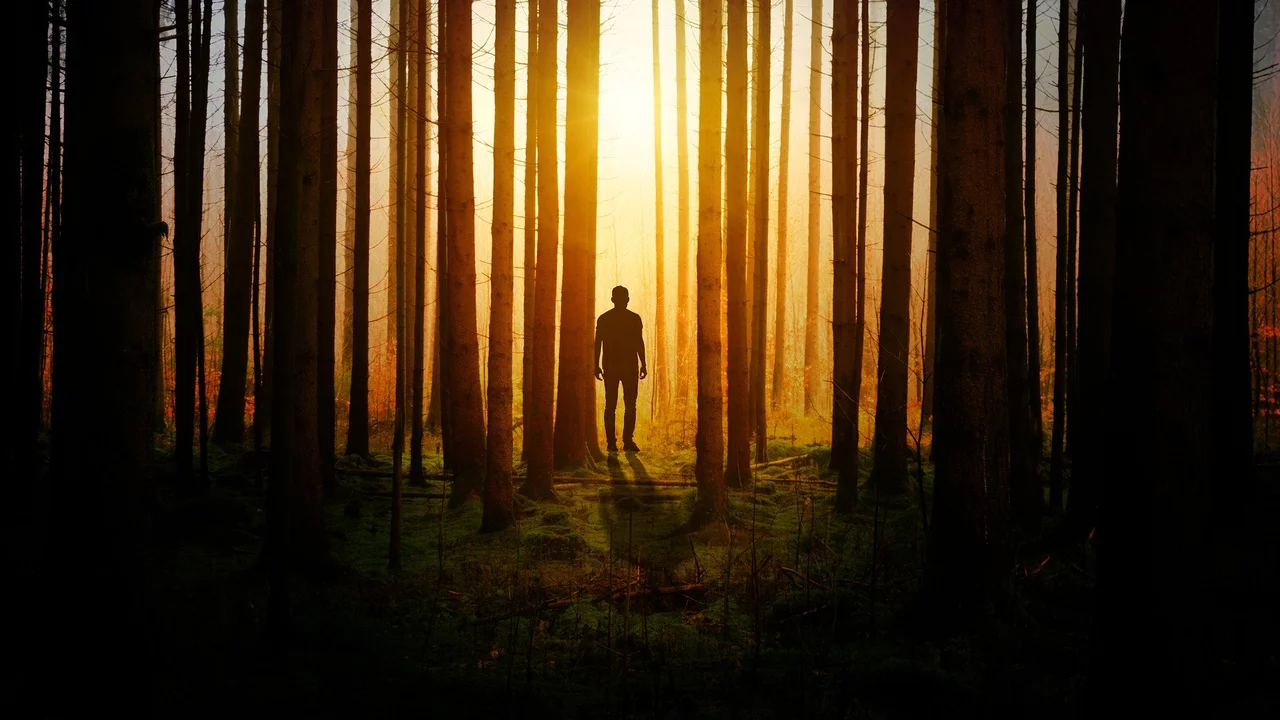 Eine silhouettierte Person steht zwischen hohen Bäumen in einem Wald, während die Sonne im Hintergrund aufgeht und ein warmes Licht verbreitet. Die Umgebung ist mystisch und geheimnisvoll, mit sanften Schatten auf dem Boden.