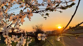 Bischöfe im hr zu Karfreitag und Ostern