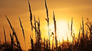 Was bleibt, wenn alles anders wird?