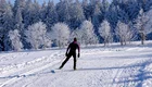 Eine Person in skifahrerischer Ausrüstung fährt auf einem schneebedeckten Weg durch eine winterliche Landschaft. Hohe, verschneite Bäume umrahmen die Szene, während der Himmel klar und sonnig ist.