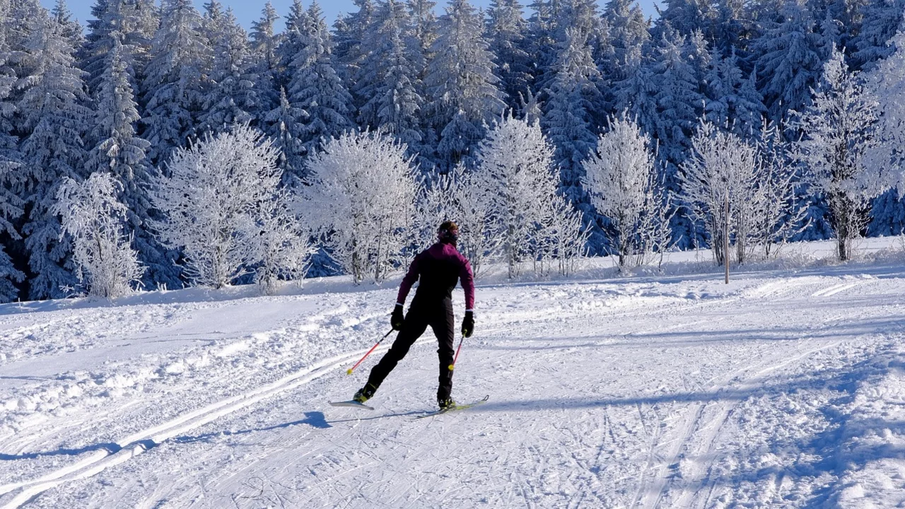 Eine Person in skifahrerischer Ausrüstung fährt auf einem schneebedeckten Weg durch eine winterliche Landschaft. Hohe, verschneite Bäume umrahmen die Szene, während der Himmel klar und sonnig ist.