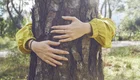 Eine Person mit einer gelben Jacke umarmt einen Baumstamm. Die Hände sind sichtbar und legen sich liebevoll um den Holzstamm, um eine Verbindung zur Natur auszudrücken. Im Hintergrund sind unscharf Bäume und eine Wiese zu erkennen.