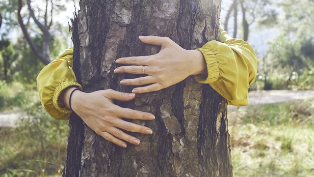 Eine Person mit einer gelben Jacke umarmt einen Baumstamm. Die Hände sind sichtbar und legen sich liebevoll um den Holzstamm, um eine Verbindung zur Natur auszudrücken. Im Hintergrund sind unscharf Bäume und eine Wiese zu erkennen.