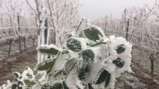 Was ich 2021 behalte, was ich hinter mir lasse