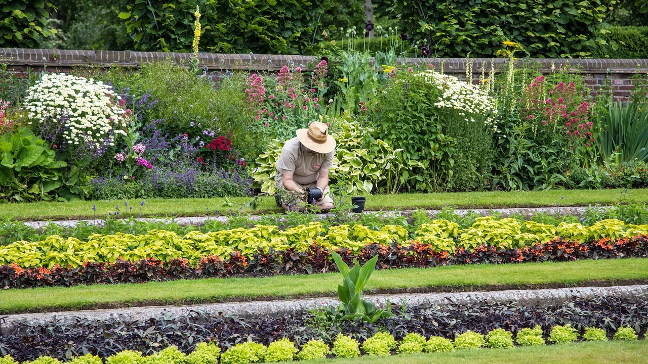 Ein Gärtner kniet in einem bunten Blumenbeet und arbeitet aufmerksam mit Pflanzen. Um ihn herum blühen verschiedene Blumen und Pflanzenarten in lebhaften Farben. Die Gartenlandschaft ist gepflegt und zeigt eine schöne Anordnung von Gemüse und Zierpflanzen.