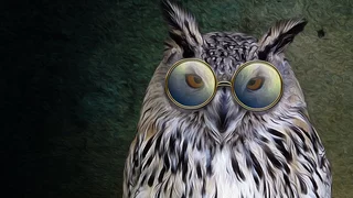 Genauer Blick