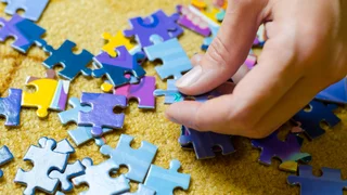 Die Puzzlerin