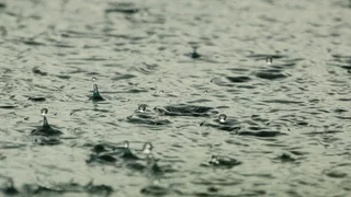 Schönes Regenwetter