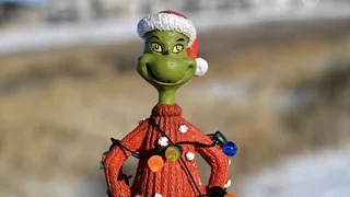 Der Grinch