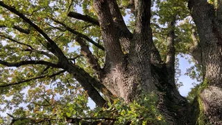 Die Erde, Gottes Schöpfung