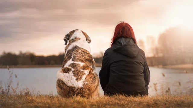 Eine Frau mit roten Haaren sitzt am Ufer eines Gewässers, neben ihr ein Hund. Sie schauen gemeinsam in die Ferne, umgeben von einer natürlichen Landschaft. Der Himmel ist bewölkt und das Licht hat einen warmen, goldenen Schimmer.
