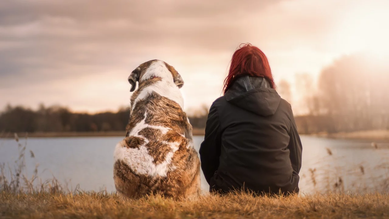 Eine Frau mit roten Haaren sitzt am Ufer eines Gewässers, neben ihr ein Hund. Sie schauen gemeinsam in die Ferne, umgeben von einer natürlichen Landschaft. Der Himmel ist bewölkt und das Licht hat einen warmen, goldenen Schimmer.